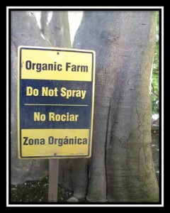 Organic Farm Sign