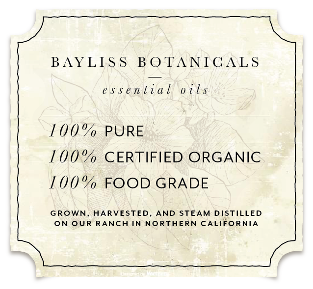 Magnolia Hydrosol Wild Foraged And Artisan Distilled California - Essential  Oil Apothecary